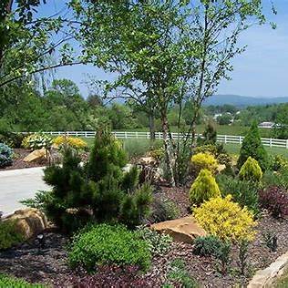 OIP (9) silver ridge recovery gardens